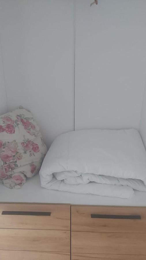 Coresi, 2 Camere, Sleeps 6 Large Private Garden Apartment Pets Welcome Braszów Zewnętrze zdjęcie